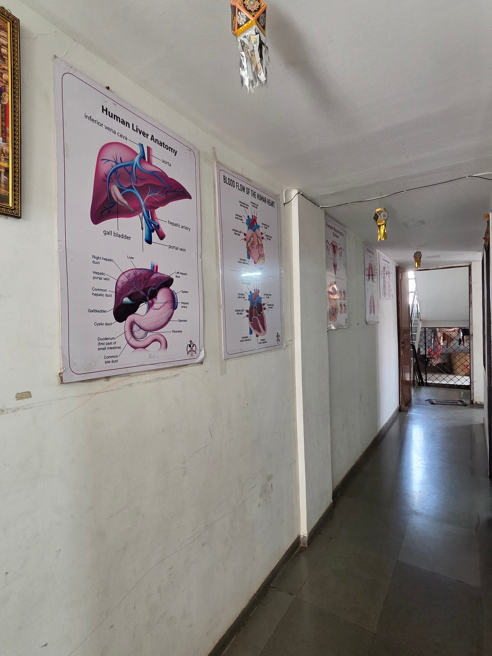 Paramedical Board Partner